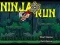 Ninja Run — free online game