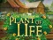 Plant of Life — free online game