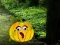 Help The Hungry Monkey — free online game