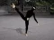Ninja Academy — free online game