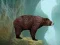Caged Tiger Cub Escape — free online game