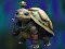 Isolated Turtle Escape — free online game
