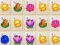 שפּיל Flower Merge אָנליין