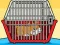 Rescue The Hamster From Cage — free online game