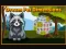 Dream Pet Dimensions — free online game