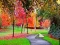 Butterfly Family Escape — free online game