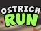 Ostrich Run — free online game