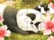שפּיל Jigsaw Puzzle: Sleeping Panda אָנליין