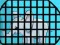 Blue Elephant Rescue — free online game