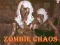 Zombie chaos — free online game