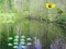 Sunlight Forest Adventure — free online game