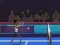Badminton Brawl — free online game