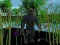 Medieval Arts — free online game