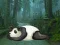 Wakeup The Sleeping Panda — free online game