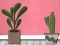 Find Houseplant — free online game