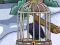 The Bald Eagle Escape — free online game