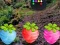 Escape From Fascinated Jungle — free online game