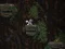 Cave Descent — free online game