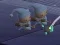 Sleeping Babies — free online game