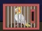 Release The Cockatiel Bird — free online game