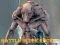 Battle In The Rocks — free online game