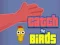 Catch the Birds — free online game