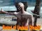 Sword Of Undead Dynasty — free online game