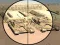 Camo Sniper — free online game