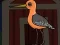 Cute Godwit Escape — free online game