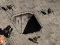 Tin Savage — free online game