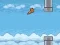 Flappy Cat — free online game