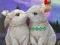 Rescue The Cupid — free online game