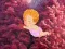 Help The Heart Couple — free online game
