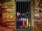 Hidden Cat Escape — free online game