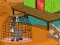 The Amiatina Escape — free online game