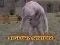 Highwarrior — free online game