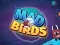 Mad Birds — free online game