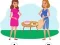 Who is the Liar? — free online game