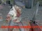 Abandoned Zombie City 2 — free online game