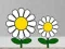 Find Succulent Plant — free online game