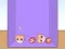 Evolution of Cat Memes — free online game