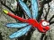 Escape From Dragonfly Forest — free online game