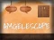 Spil Amgel Easy Room Escape 171 online