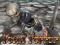 Total Terror — free online game