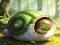 Rescue The Fantasy Snail — free online game