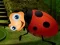 Rescue The Couple Bug — free online game