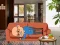 Wakeup The Grandpa — free online game