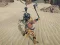 The Scythian Warrior — free online game