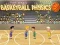 Basketball Physics — free online game