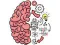 Brain Test — free online game